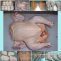 Price of frozen halal chicken